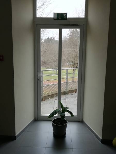 img_20210304_113155.jpg img_20210304_113155.jpg