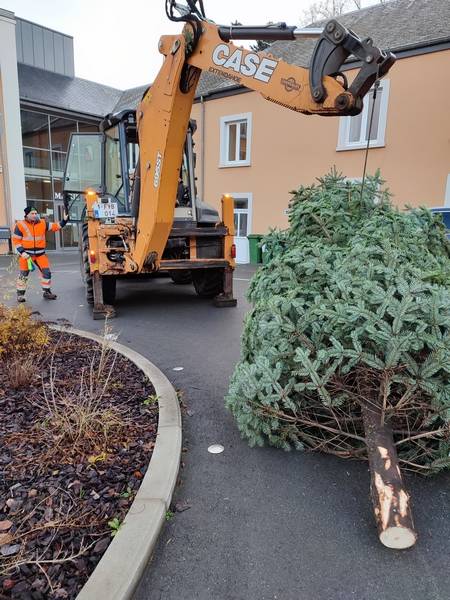 img_20221207_092154.jpg img_20221207_092154.jpg