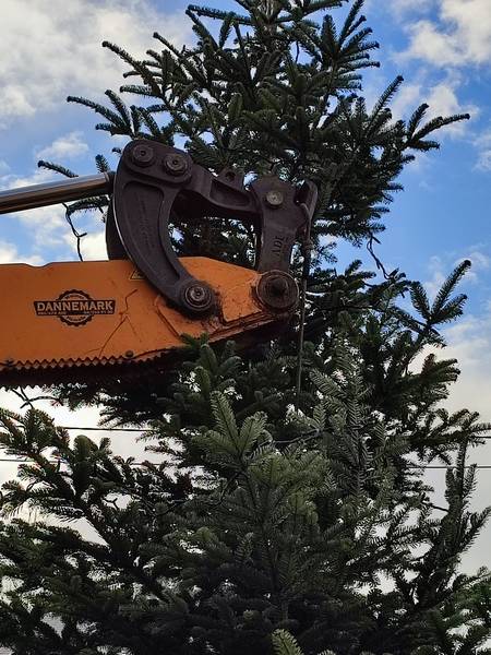 img_20221207_092847.jpg img_20221207_092847.jpg