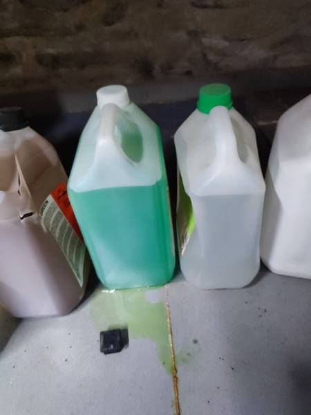 img_20230320_123539.jpg img_20230320_123539.jpg