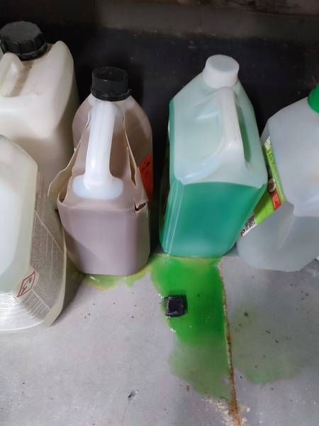 img_20230516_145222.jpg img_20230516_145222.jpg