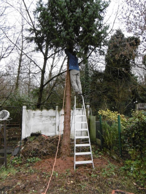 20210525-213012.png 20210525-213012.png