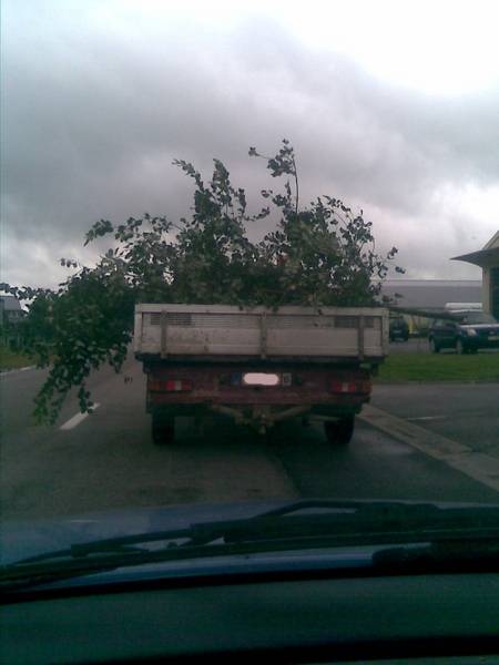 photo009.jpg photo009.jpg