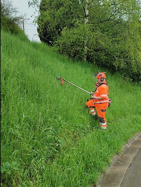 vid_20230510_094732.jpg vid_20230510_094732.jpg